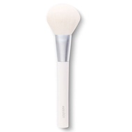 4U2 PRO POWDER BRUSH