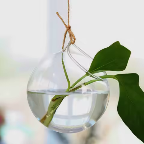 F 2pcs/pack Different Size Big Open Glass Terrarium Vase Diameter=8cm 10cm 12cm 15cm Wedding Live Pr