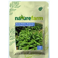 naturefarm - Malabar Spinach Seeds/Remayong
