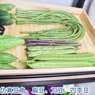 Wholesale PU Highly realistic vegetable models: simulated beans, four-bean beans, lentils, and edama