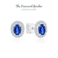 TDG 10K Lab Grown Blue Sapphire Stud Earring