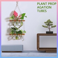 Plant Propagation Station Kit 6 Bulb Vase Double Layer Plant Terrarium Wall Hanging Novel Flower Bulb Vase SHOPCYC7413