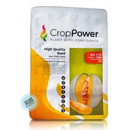 (100 Biji) F1 Romeo RM216 Melon Benih Crop Power / Rock Melon