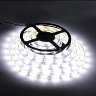 5050 white led strip lights 5050 Indoor IP 33 led strip decorative lights