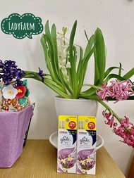 Xịt thơm phòng tự động Glade - Nhật Bản