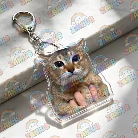 Funny Tole Tole Cat Meme Keychain for Accessories Jewelry Cute Silly Mei Mei Vro Key Ring Purse Phon