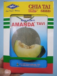 Benih bibit Melon Amanda Tavi F1 13 gram kemasan original