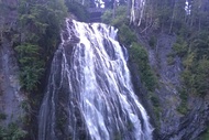 Mt. Rainier Tour and Guided Hike