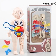 NOVAGEAR​ Human Anatomy Model, Body Puzzle Organ Human Body Model, Montessori Mannequin 3D Assembled