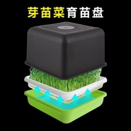 Mung Bean Sprout Germination Pot Germination Bean Sprout Special Pot Seedling Tray Sprout Seedling H