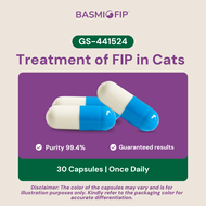 BASMI FIP™ Oral Capsules GS-441524 For Cats 2.5~4 kg Each Pack Contains 30 Oral Capsules