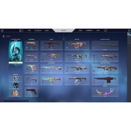 Valorant account selling cheap prime vandal