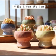 Ready stock ‼️ Mini Cute Ceramic Succulent Pot Set 4pcs印章麦饭石多肉花盆特价陶瓷手绘粗陶爆裂创意大老庄盆栽室内