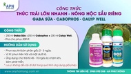 Giải pháp thúc trái lớn thần tốc nhanh hiệu CABOPHOS CALYP WELL GA3 SỮA của apn