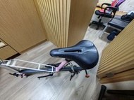 Carryme 單車