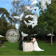 Pigeon balloon - pigeon foil balloon - pigeon - pigeon balloon - white pigeon - bird balloon - ballo