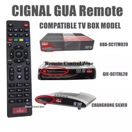 Cignal GUA, GIE Changhong Silver Remote Control