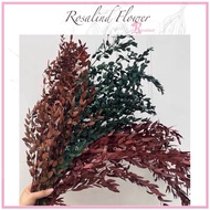 Natural dried eucalyptus leaves simple Nordic dried flowers dried eucalyptus leaves super beautiful 