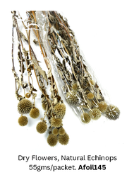 Dry Flowers Natural Echinops 55gms/packet. Afoil145