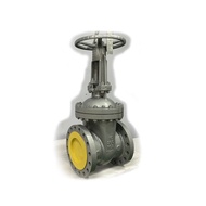 TOKAI Gate Valve 16" Class#300 WCB Trim8# Flange API603