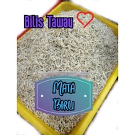 BILIS MATA BIRU TAWAU