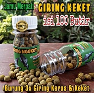 JAMU MERPATI GIRING KEKET ISI 100 BUTIR pil sarang walet liur walet klenceng extra ginseng teki pil