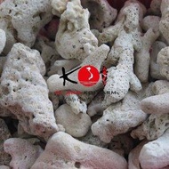 Water filter coral - Ph balance