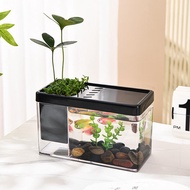 【HOT NEW】 Fish Tank Betta Fish Bowl Mini Fish Tank Desktop Cube Tank with Decorative Rabbits for Bet