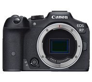 Canon EOS R7 Body〔單機身〕公司貨