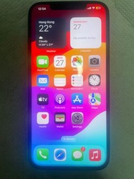 iPhone 12 Pro Max 256 GB