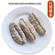 猪婆参，白猪参，猪母参，Dry sea cucumber  Gamat kering