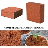 Compressed Cocopeat Block for Hydroponics Gardening Soil