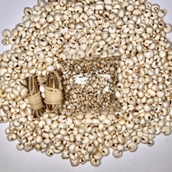 [GDB] Cooked Barley mix Raw Barley 生熟薏米