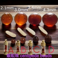 Ready Stock 现货 Real Centipedes Beads 蜈蚣珠 Geliga Lipan