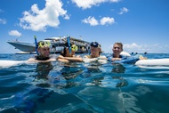Great Barrier Reef Cruises from Airlie Beach or Hamilton Island