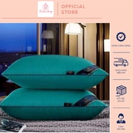 Ruột Gối Đầu Hiton Cao Cấp Màu Xanh Tiêu Chuẩn 5* Kích Thước 40x60( 1 Đôi)