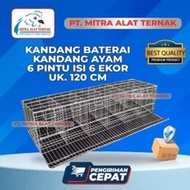 Kandang Baterai Kawat Ayam Petelur 6 Pintu isi 6 Ekor