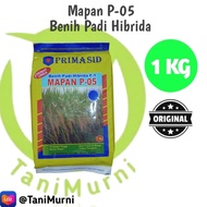 Benih Padi Hibrida MAPAN P-05 Kemasan 1 kg. Daya kecambah 80 % ( STOCK READY! ) #padi mapan 05 asli 