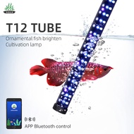 Week Aqua T12 Tube Waterproof Light (App Control) RGB LED Lights