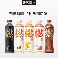 Genki Forest Ran Tea Oolong Series (500ml) 元气森林燃茶玄米无糖乌龙茶饮料 0糖0脂0卡