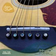 Thai Stock Ebony Wood Pin Guitar String Clamp Decorated With Abalone Shells Surrounded By Brass Edge