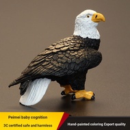 Plaything House Simulation Animal Model Animal Toys Birds Birds Eagles White-Headed Eagles White-Hea