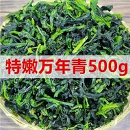 New Net Weight 5g Ten Thousand Youth Dried Vegetables Dehydrated Vegetables Olive Vegetables Dried V