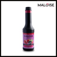 Maloise | Wildberry Syrup | 1000ml | Soda Drinks & Non-alcoholic cocktails syrup | Made in Malaysia 