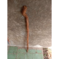 Unique walking stick 1 meter
