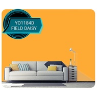 NIPPON Exterior paint Q-Shield 5 Liter - YO1184D FIELD DAISY