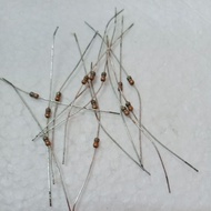 (100 PCS) RESISTOR 1/8WAT 560 0M