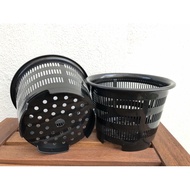 Orchid Hydroponics Aroid Pot Planter / Large Basket Net Plant Plastic Pot / Well Drainage Plastic Po