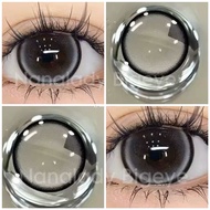 Terra gray brown bigeye คอนแทคเลนส์ สีเทา สีน้ำตาล ✨ คอนแทคเลนส์กรองเเสงUV ค่าอมน้ำ สูง