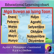 Mga buwan sa isang taon chart Laminated - Educational materials